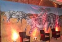 African backdrops image 2