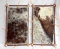 Animal skin in frame Image