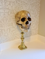 Human Skull on Brass Stand image 2