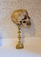 Human Skull on Brass Stand image 3