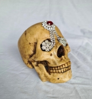 Human Skull with Diamonds Image