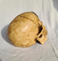 Human skull decorated with jewels and an eye. image 3