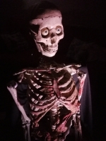 Talking Skeleton Image