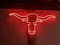 Neon Texas Longhorn Image