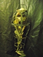 Large caged skeleton Image