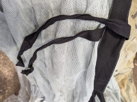 large Sharks tooth backdrop image 2